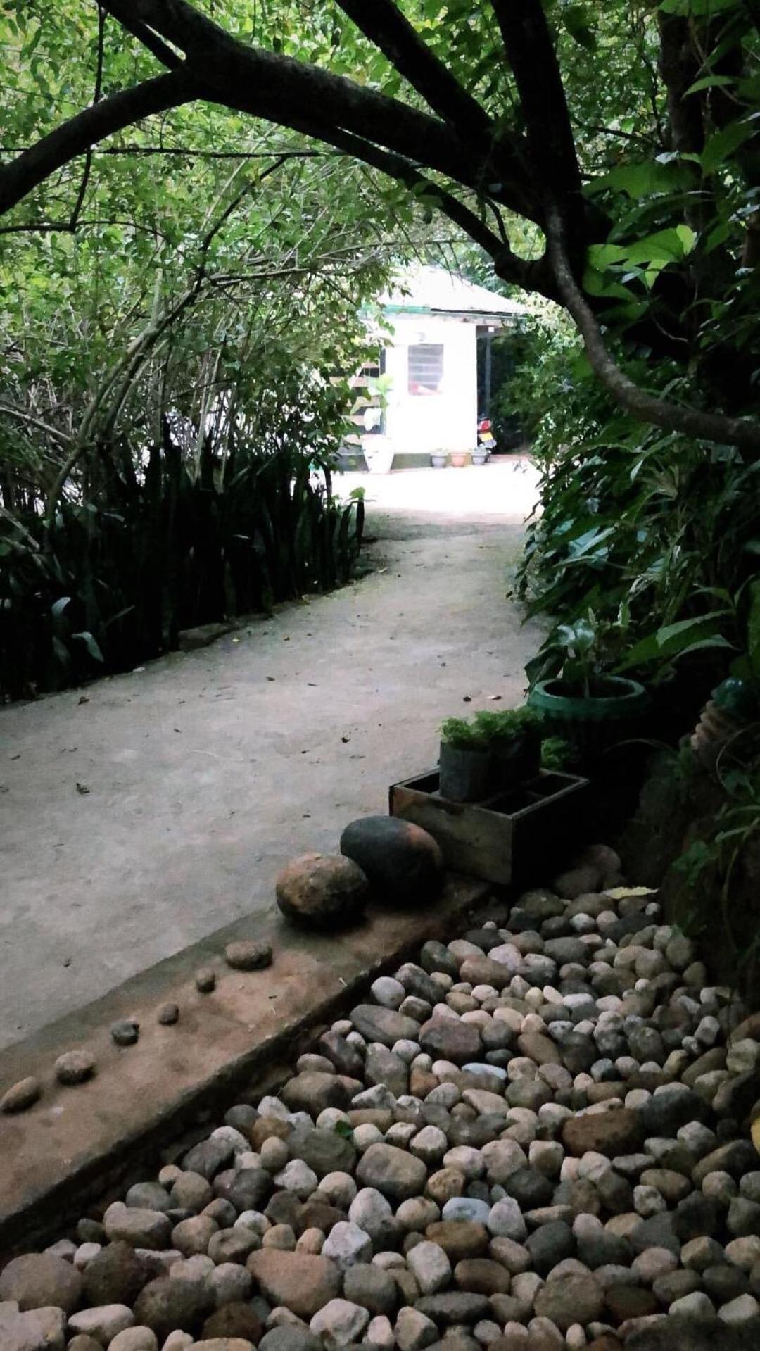 Surrey Bird Sanctuary & Holiday Resort Welimada Buitenkant foto