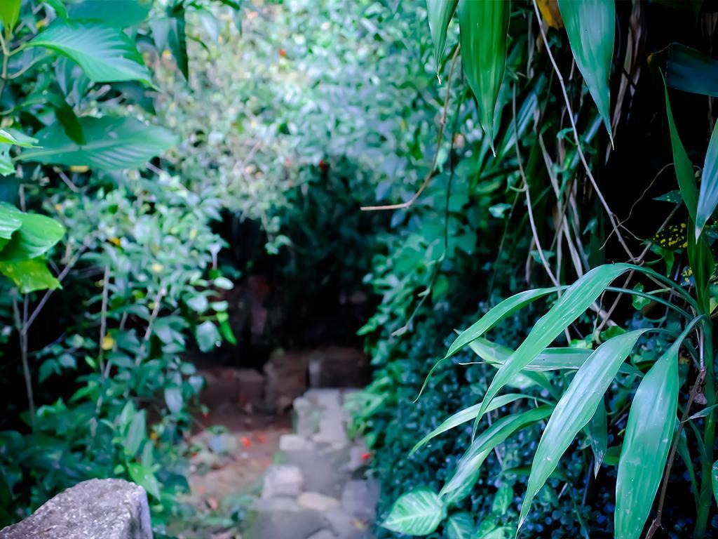 Surrey Bird Sanctuary & Holiday Resort Welimada Buitenkant foto