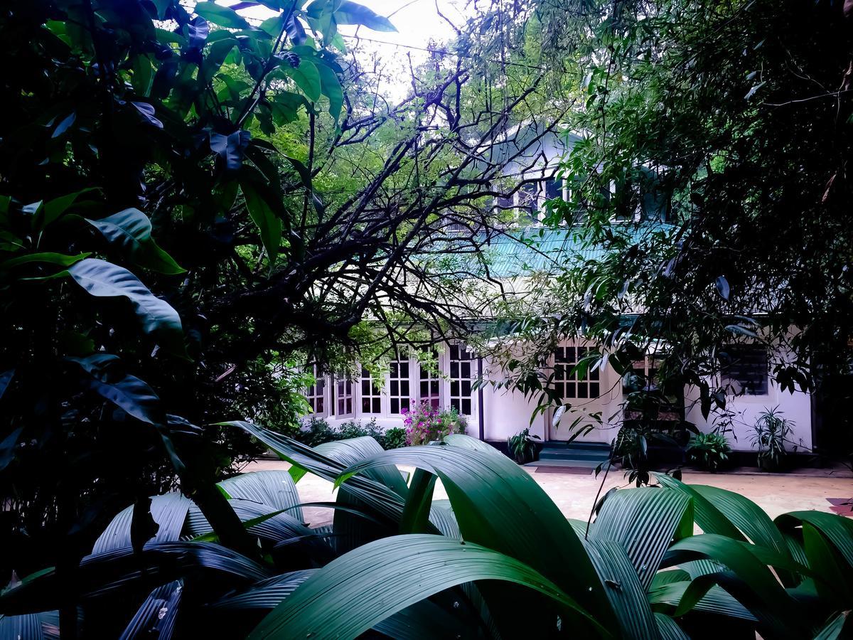Surrey Bird Sanctuary & Holiday Resort Welimada Buitenkant foto