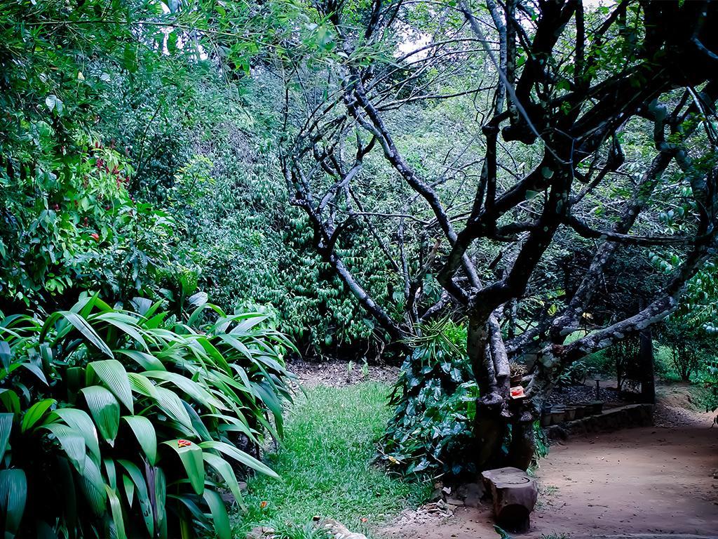 Surrey Bird Sanctuary & Holiday Resort Welimada Buitenkant foto